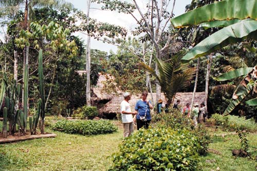 Chaman, ethnobotanischer Garten